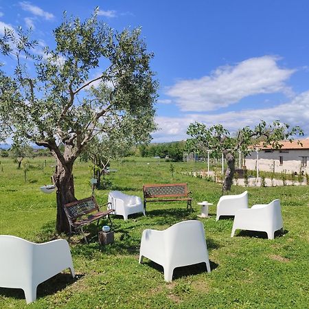 Masseria Fontana Dei Fieri 피에트렐치나 외부 사진