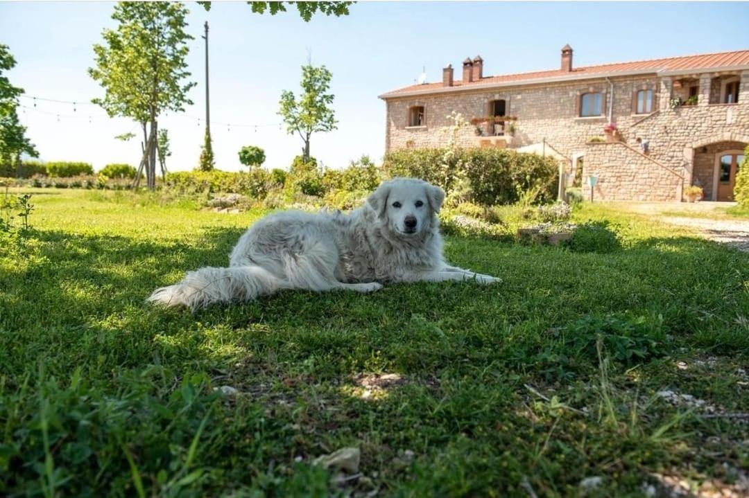 Masseria Fontana Dei Fieri 피에트렐치나 외부 사진