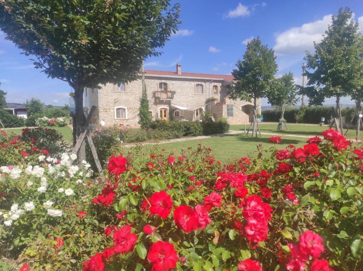 Masseria Fontana Dei Fieri 피에트렐치나 외부 사진