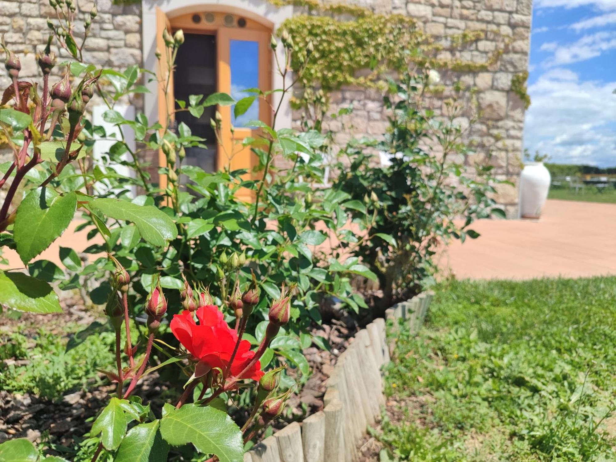 Masseria Fontana Dei Fieri 피에트렐치나 외부 사진