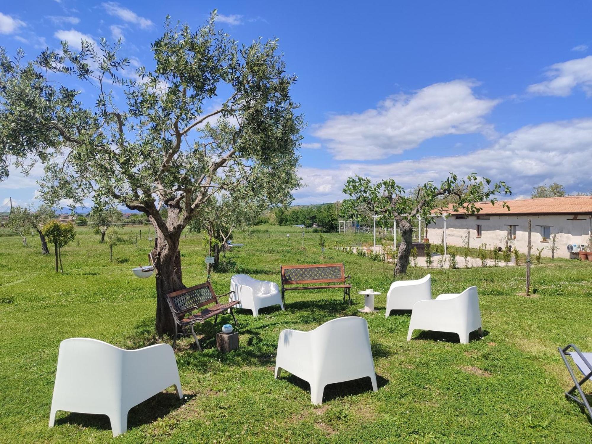 Masseria Fontana Dei Fieri 피에트렐치나 외부 사진