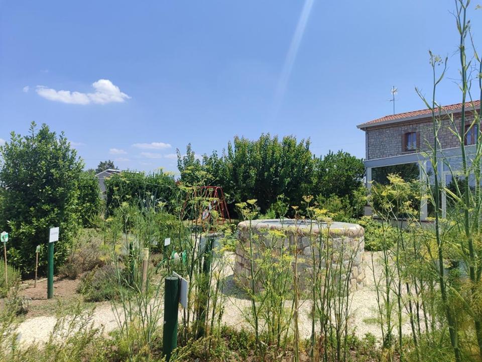 Masseria Fontana Dei Fieri 피에트렐치나 외부 사진
