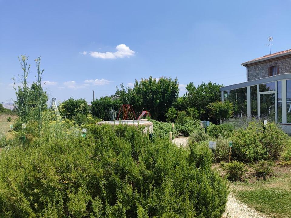 Masseria Fontana Dei Fieri 피에트렐치나 외부 사진