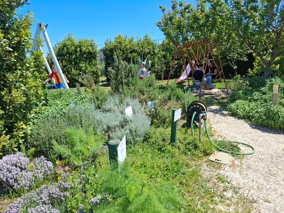 Masseria Fontana Dei Fieri 피에트렐치나 외부 사진