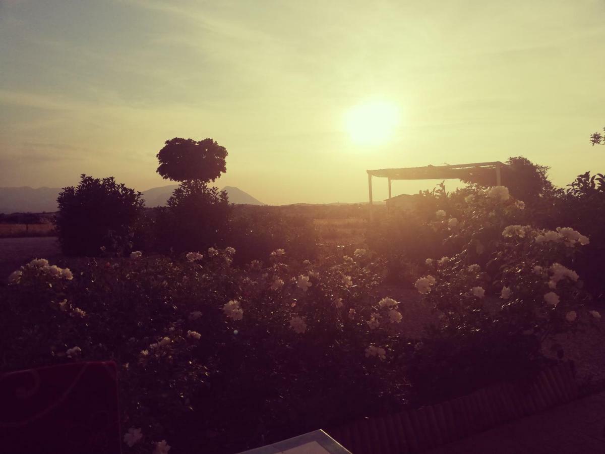 Masseria Fontana Dei Fieri 피에트렐치나 외부 사진